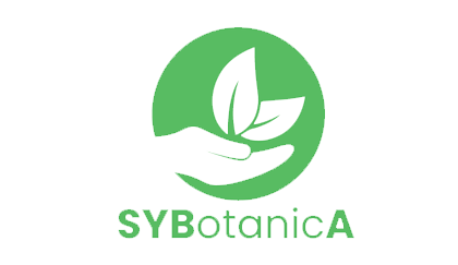 Sybotanica min