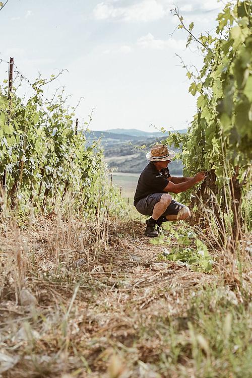 205564102_3867618093349649_7876923899169972138_n